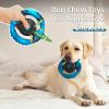 Tough Squeaky Chew Toy for Medium-Large Dogs