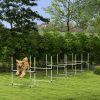 PawHut 6-Piece Dog Agility Jump Set with Adjustable Bars and Carry Bag