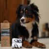 Best Pet Supplies Dog Poop Bags Leak-Proof Waste Cleanup
