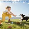 20-Pack Puppy Chew Toys Set for Teething and Dental Health