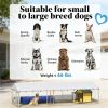 Large Outdoor Dog Kennel 19.7ft Silver Galvanized Steel